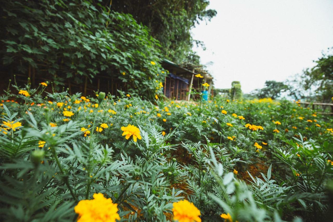 Bavi Homestead Ba Vi Exterior photo